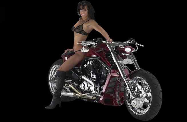 Red Devil – V-Rod