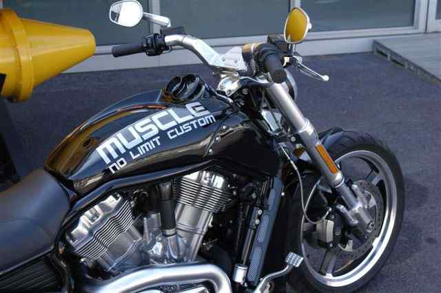 Muscle – V-Rod