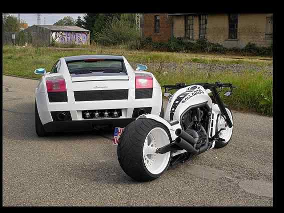 GALLARDO – V-ROD