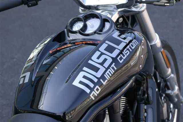 Muscle – V-Rod