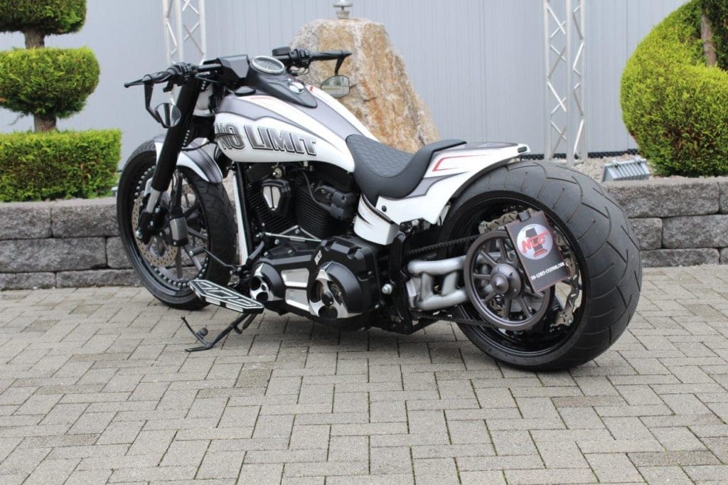 ST-30100     3D - Einarm Schwingen-Kit "18 Zoll" Softail 2008-2017