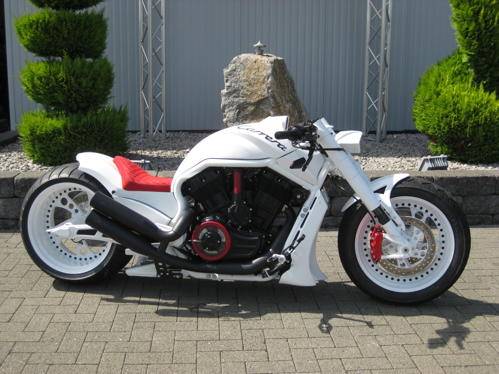 ADAMS CARRERA – V-ROD