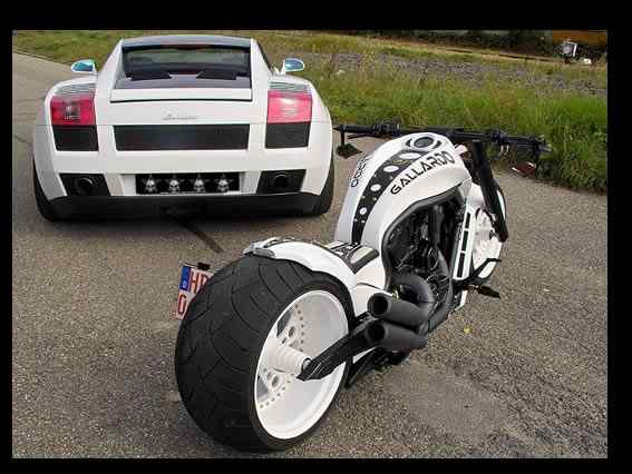 GALLARDO – V-ROD
