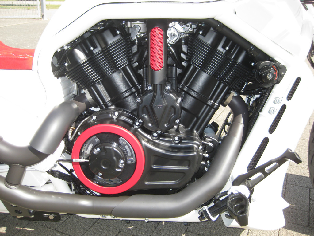 ADAMS CARRERA – V-ROD