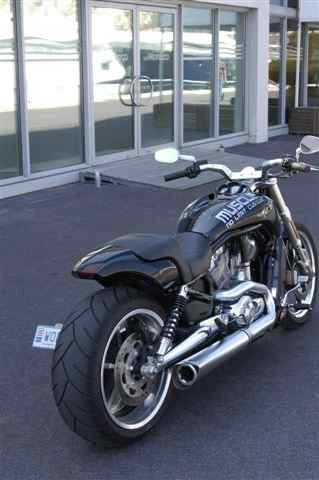 Muscle – V-Rod