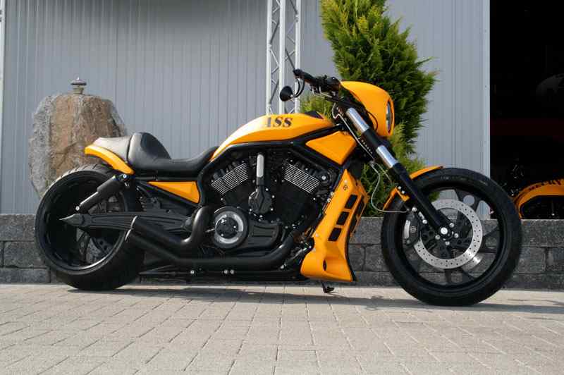 Fat Ass – V-Rod