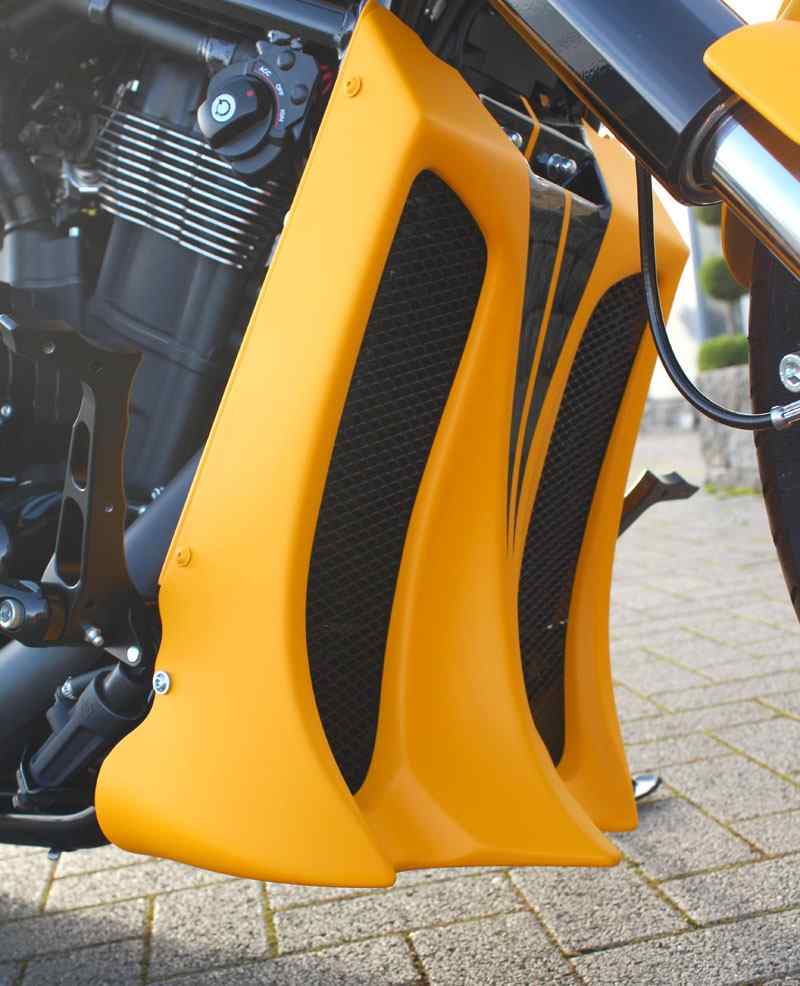 Mad Max – V-Rod