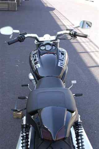 Muscle – V-Rod