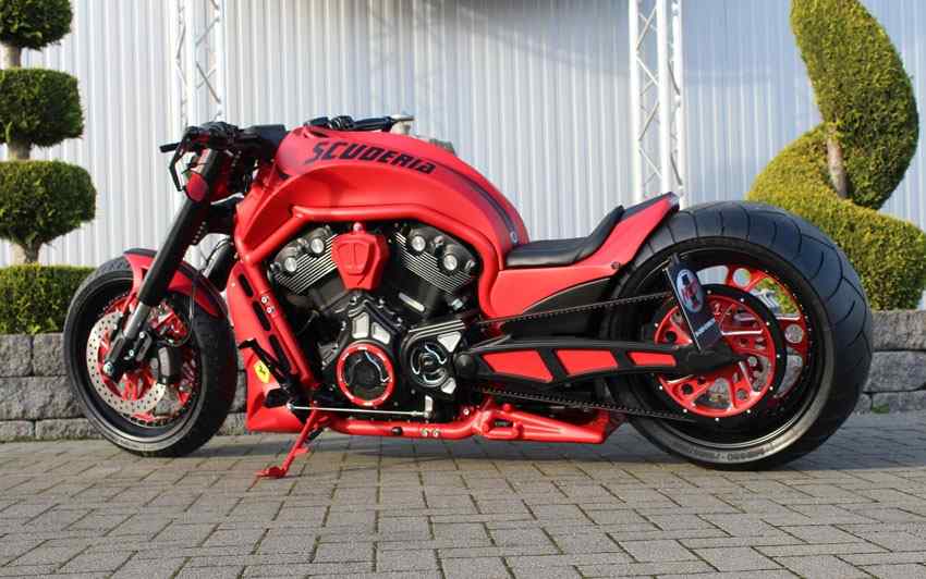 Scuderia – V-Rod