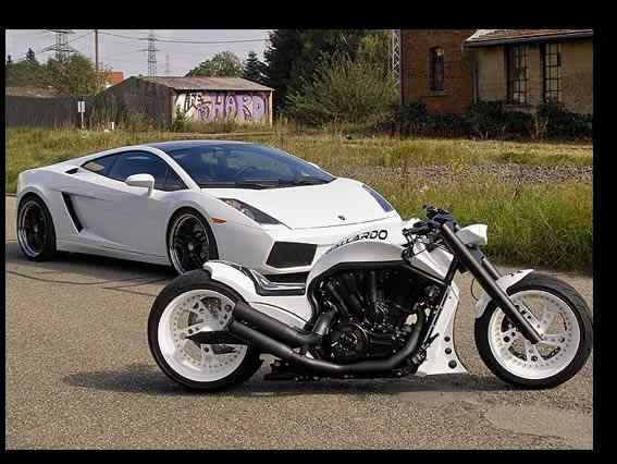 GALLARDO – V-ROD