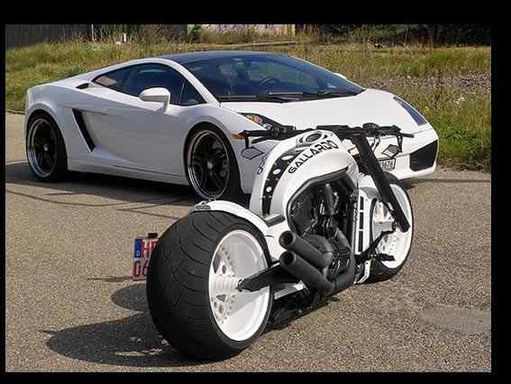 GALLARDO – V-ROD