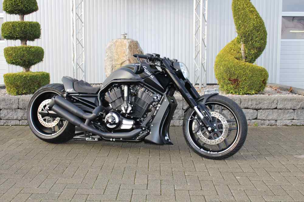 ROBERTO GEISSINI – V-ROD