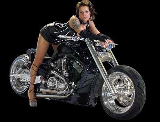 Stealth – V-Rod