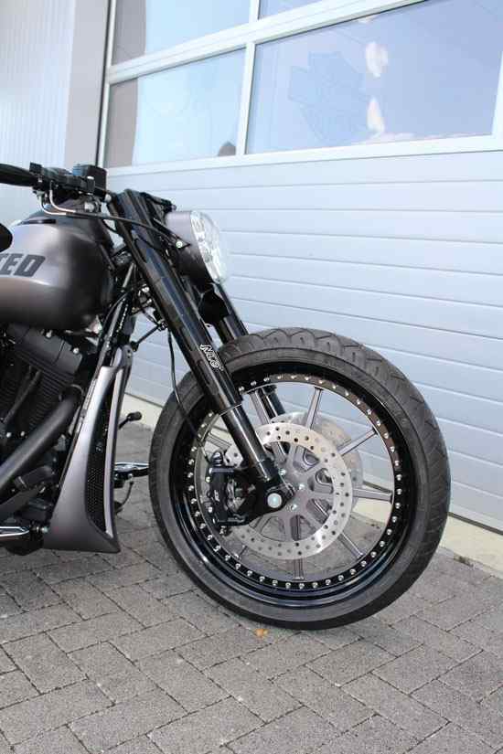 Limited – Softail