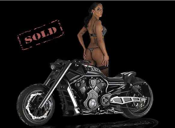 HATE V-ROD