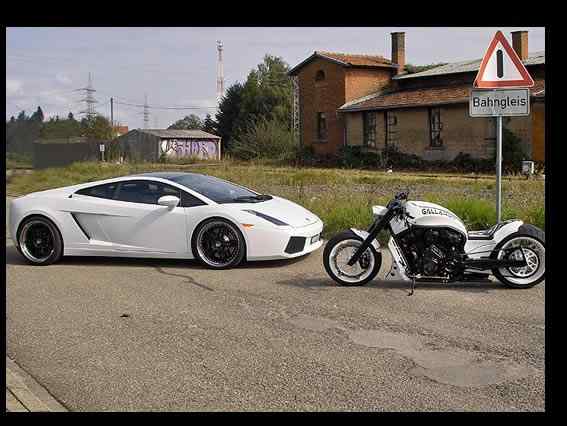 GALLARDO – V-ROD